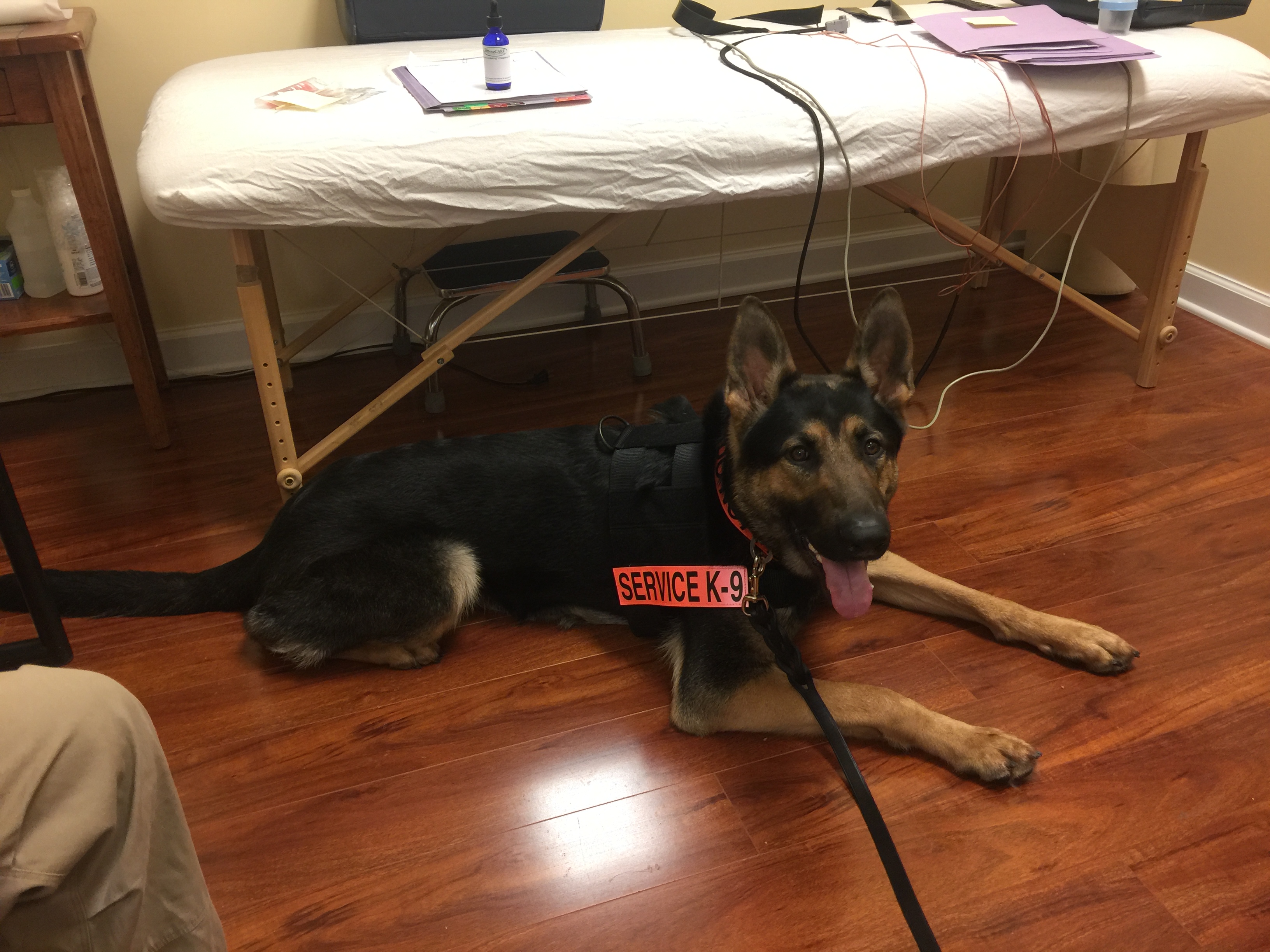 Kodi