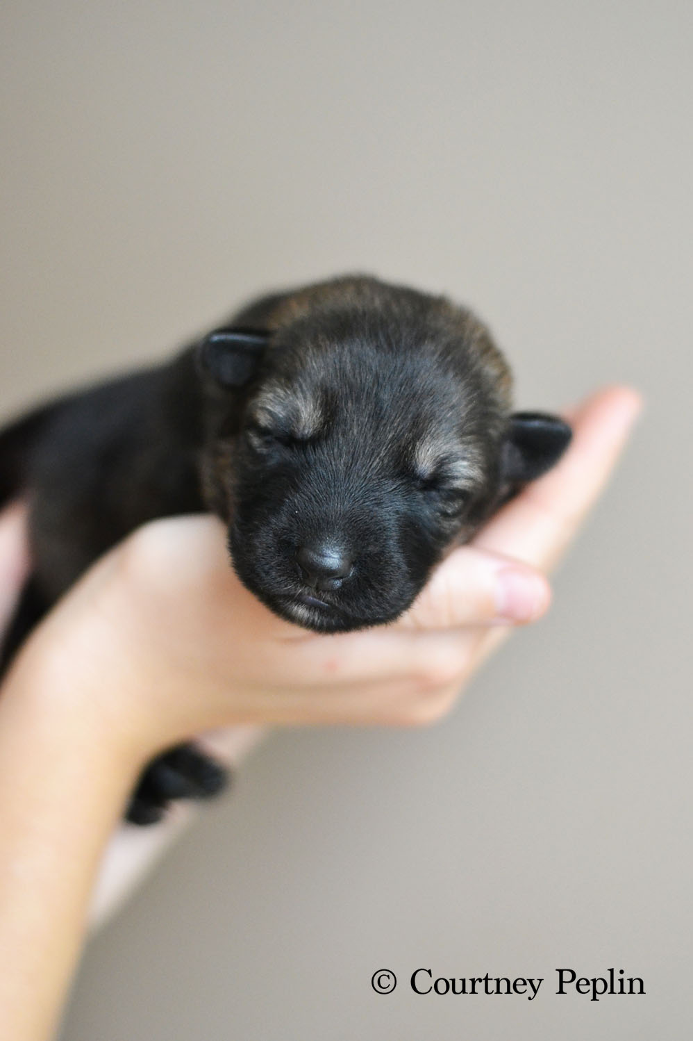 Age: 1 week 1 day