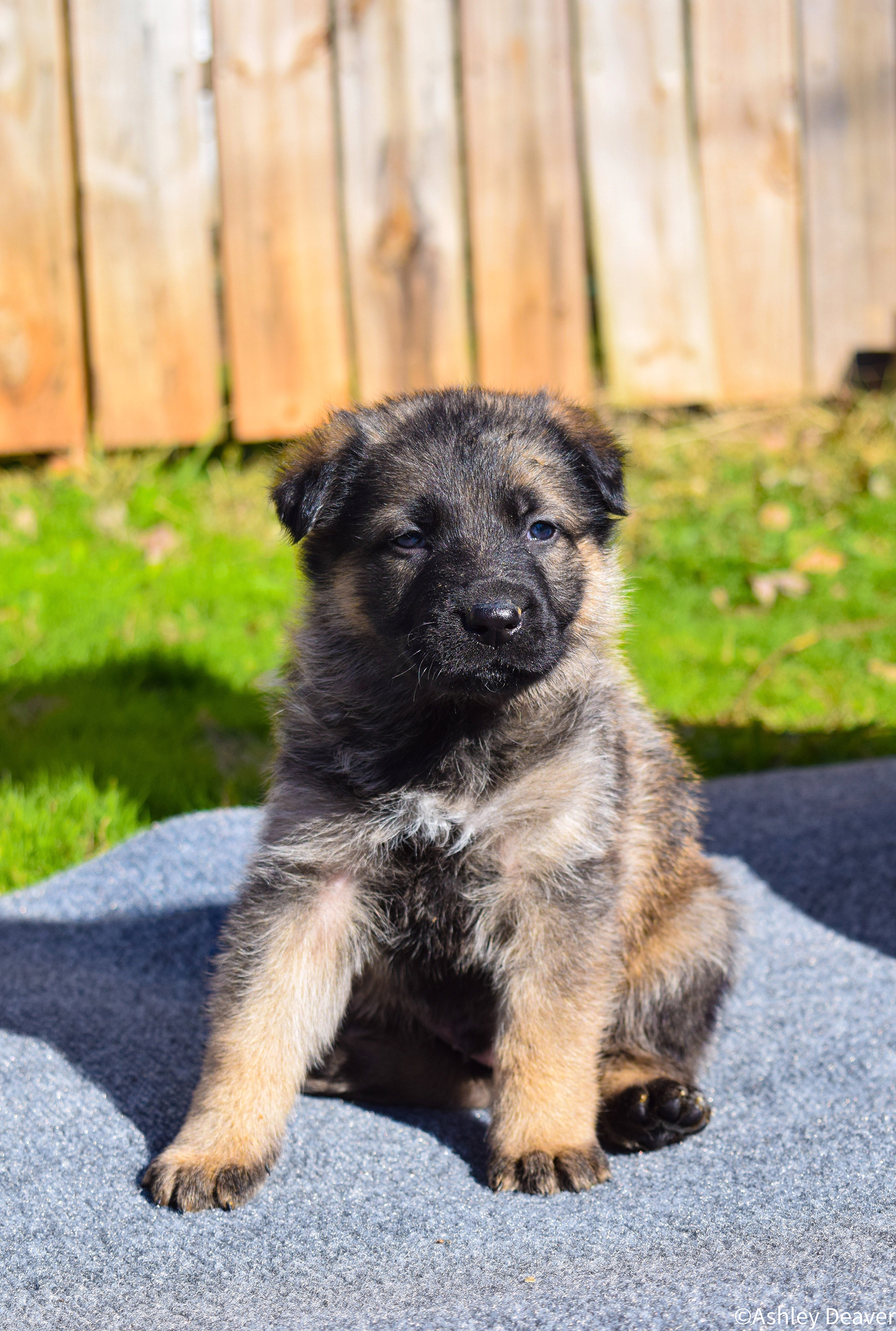 5 Weeks