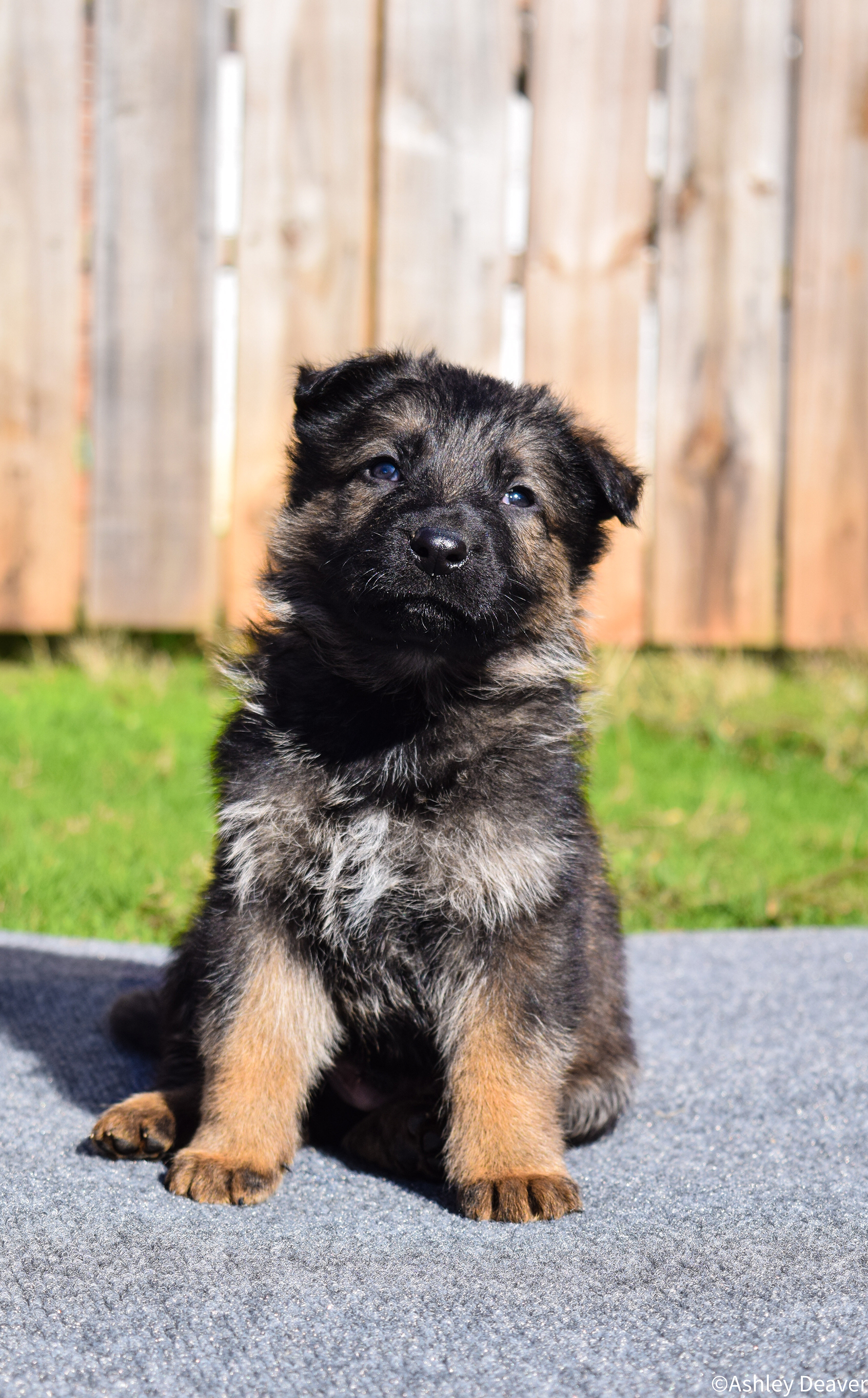 5 Weeks