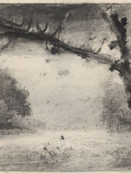 Dino Di Vittorio, Salice alle Fossate, 2017, charcoal on paper,  32,5 x 47 cm
