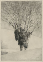 Dino Di Vittorio, Grande pioppo a Pian di Rona, 2019, Chine ink on paper, 33 x 23 cm