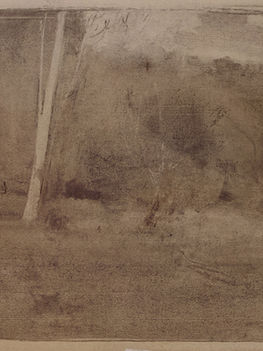 Dino Di Vittorio, Giovane pioppo alle Fossate, 2017, alder charcoal on paper, 33 x 48 cm