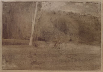 Dino Di Vittorio, Giovane pioppo alle Fossate II, 2017, alder charcoal on paper, 33 x 48 cm