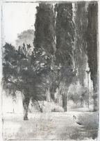 Dino Di Vittorio, Giovane gelso e cipressi, 2017, charcoal on paper, 40 x 28 cm