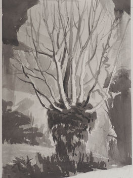 Dino Di Vittorio, Grande pioppo a Pian di Rona (II), 2019, China ink on paper, 35 x 24,5 cm
