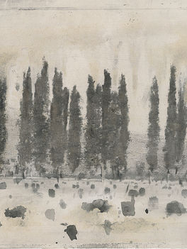 Dino Di Vittorio, Cipressi a Pian di Rona, 2019, ink and charcoal on paper, 29 x 45 cm