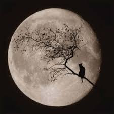 ¿Porque la Luna es Redonda? (Cuento)