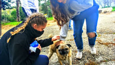 שבילי זיכרון - שכבת י"ב