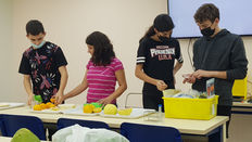 יום עיון במכון וולקני