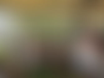 מגמת חינוך גופני - פארק דרום