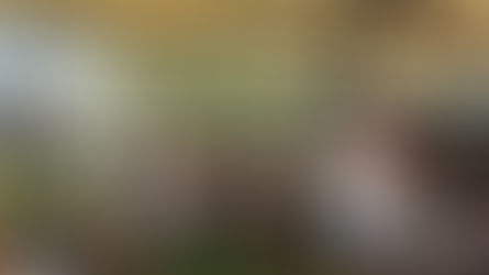 מגמת חינוך גופני - פארק דרום