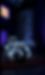 IMG_1755.jpeg