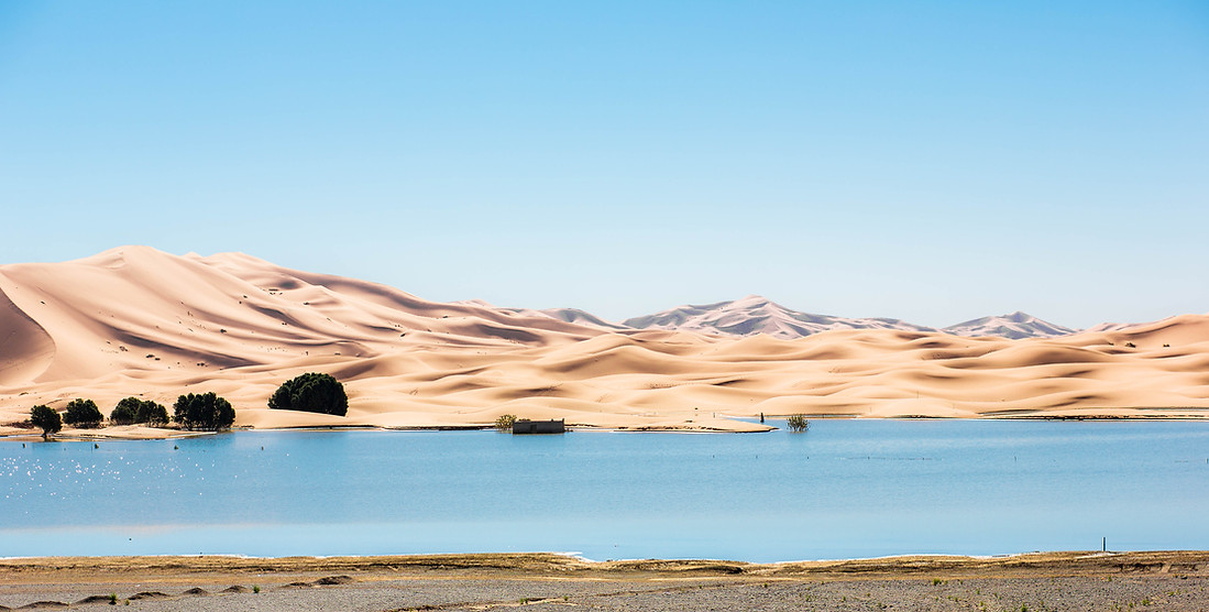 The moroccan dunes of Merzuga