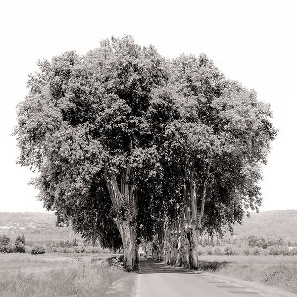 a French country road