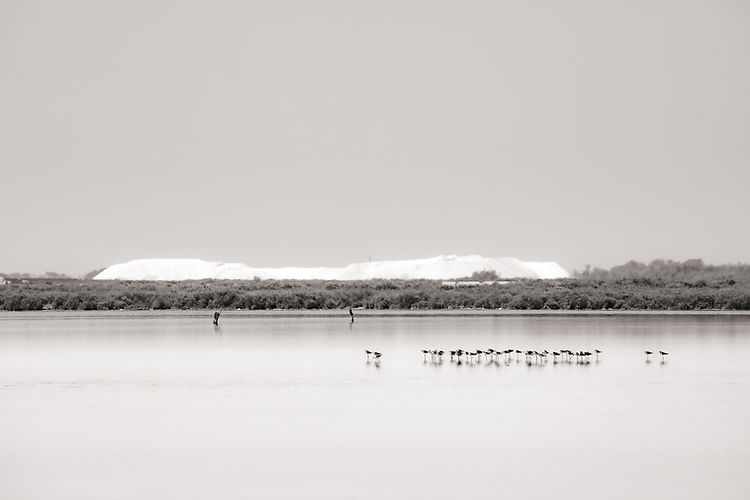 2. a salty break.jpg