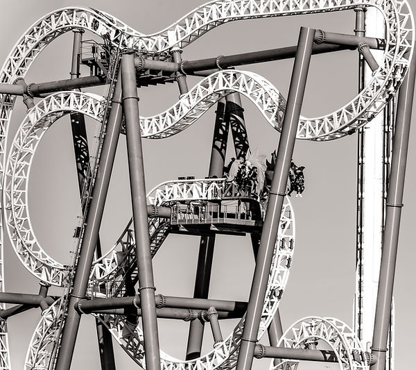 Life goes in all directions