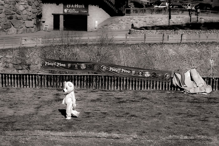 7. Lonesome bear after a long day.JPG