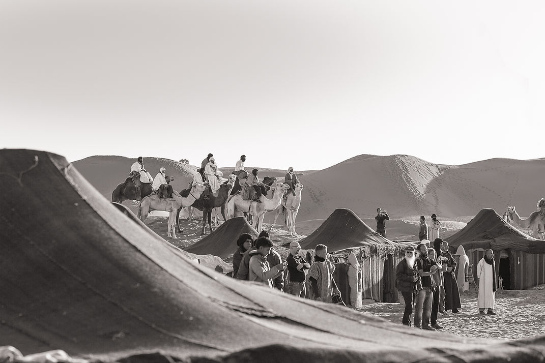 crowd and camels in the desert