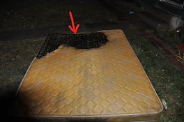 Set0003%20-%20DSC_1560_LI_edited.jpg