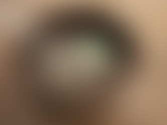 Manfaat dan Kreativitas Pengolahan Biji Chia: Dari Puding Hingga Selai yang Sehat dan Lezat