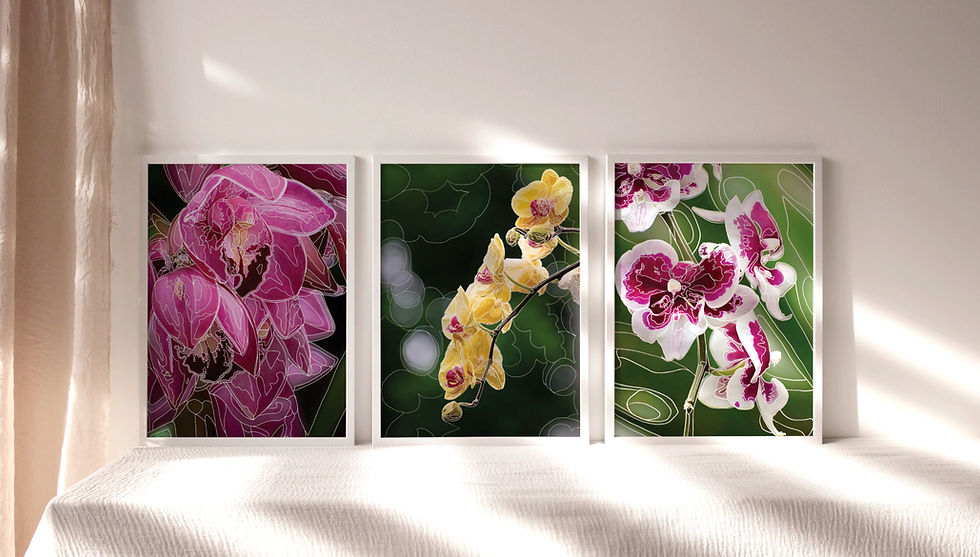 line collection frame mockup_edited.jpg