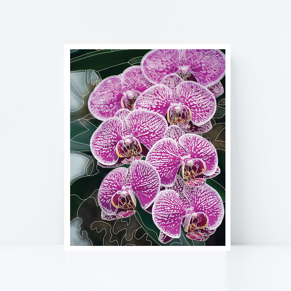 Thumbnail: Bright Pink Moth Orchid Line Print