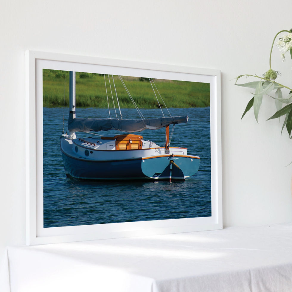 Thumbnail: On Paws Sailboat Print