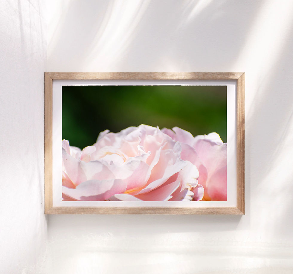Thumbnail: Belinda Blush Rose Print