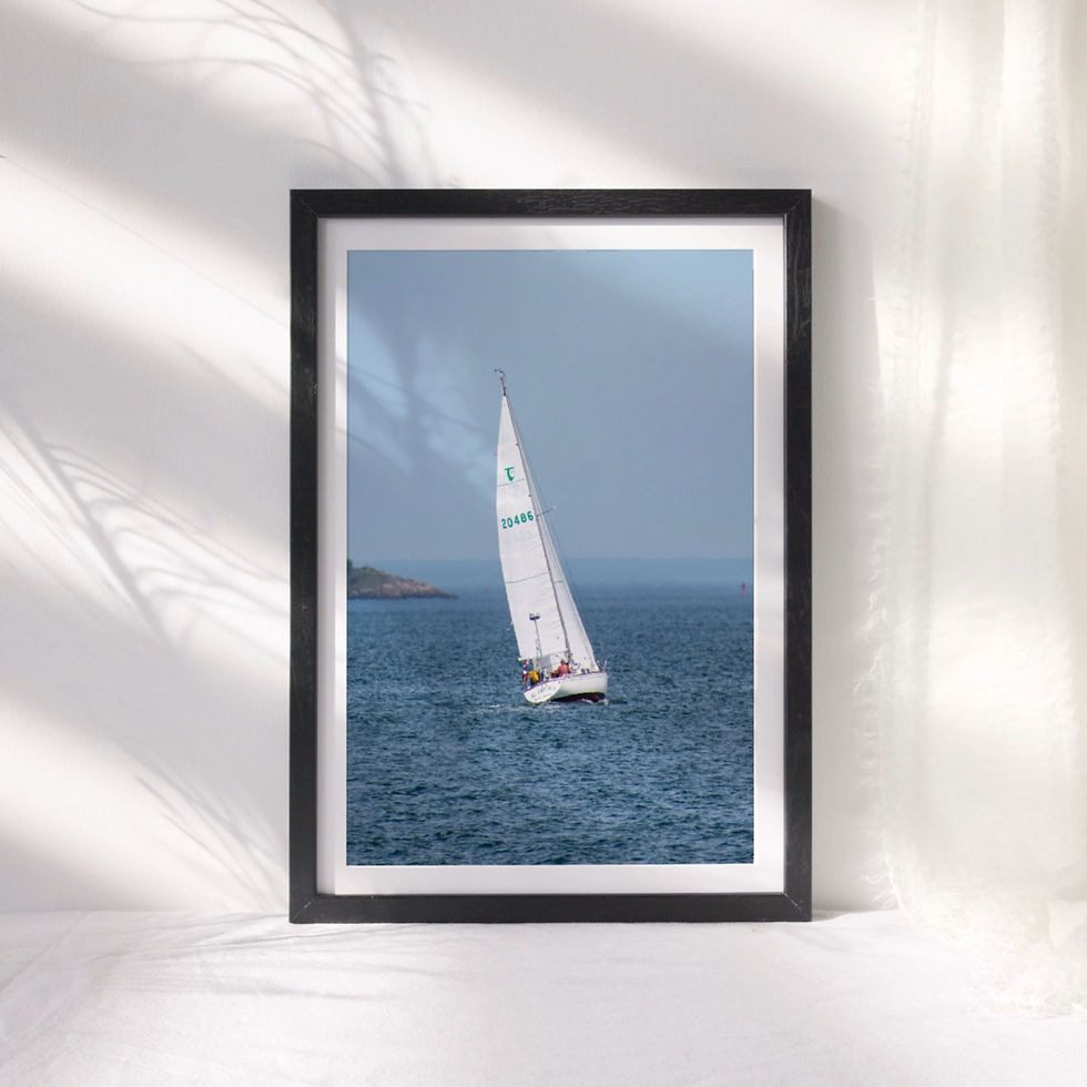 Thumbnail: Sailing New England Print