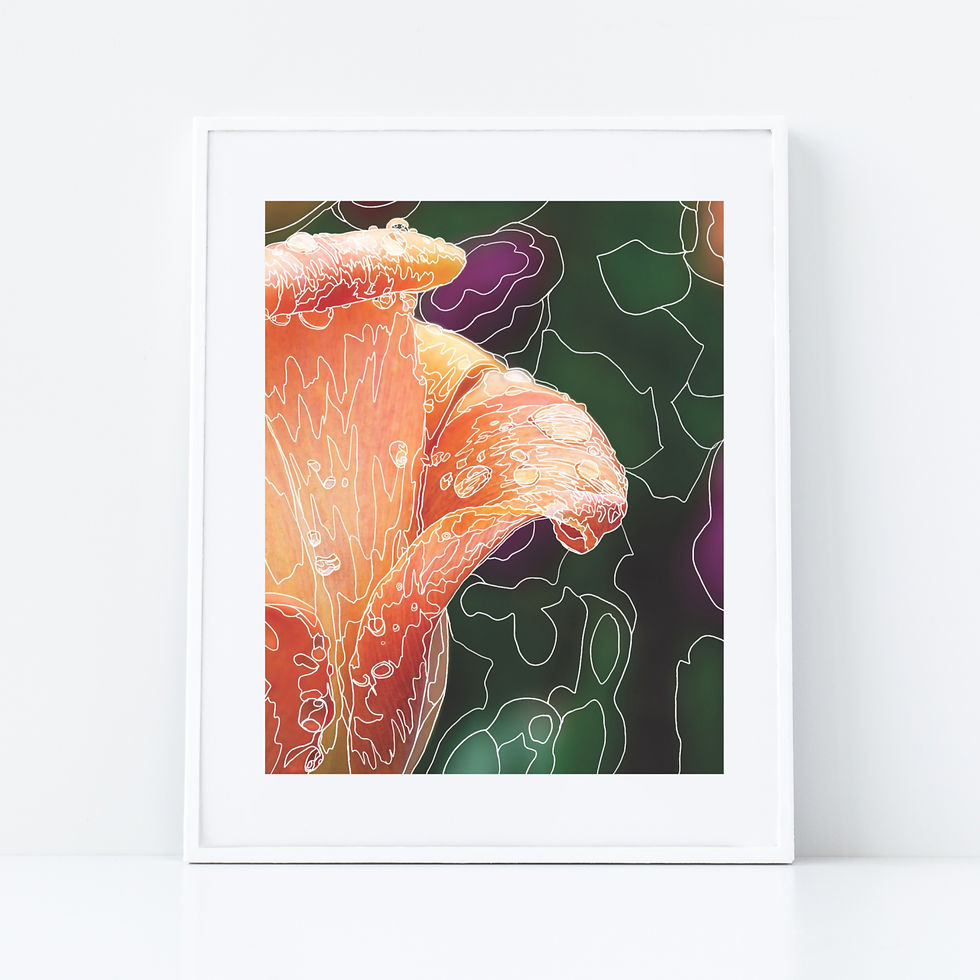 Thumbnail: Orange Curled Tulip Line Print