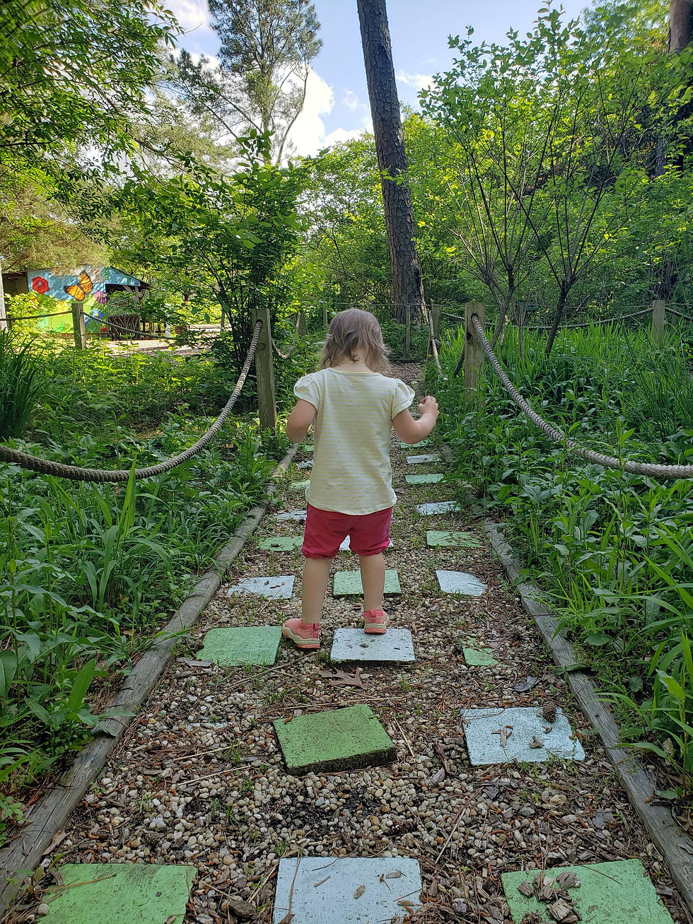 Young child walking around the Sensory garden at Durant Nature Preserve in North Raleigh, NC