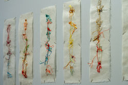 Giulia Berra, Cavallette