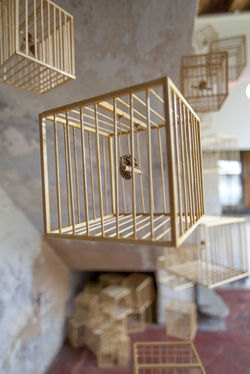 Giulia Berra for Goodesign 2015