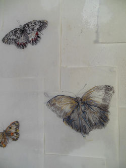 Giulia Berra - Made of silk