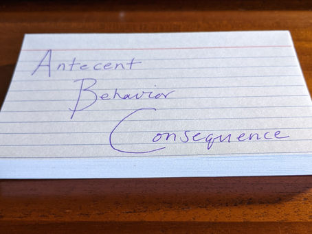 Training to Be a Trainer