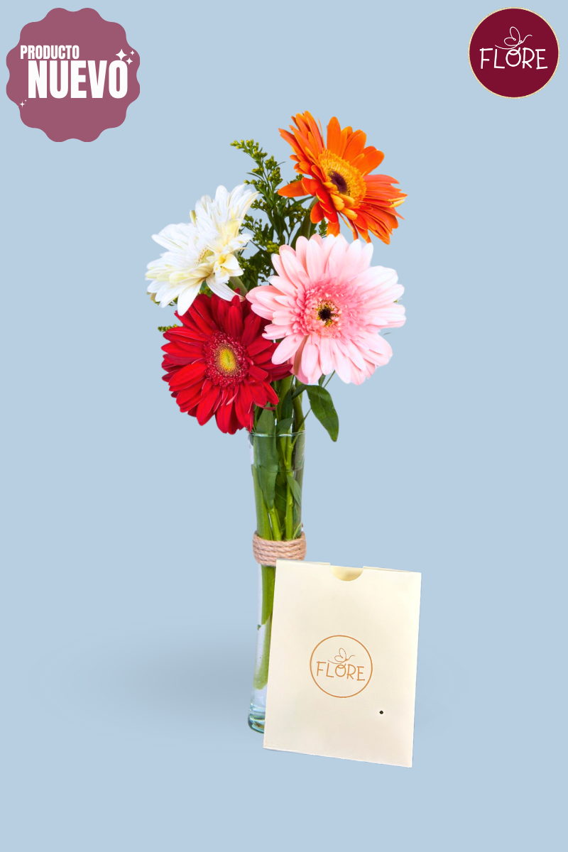 Gerberas Ven en Florero