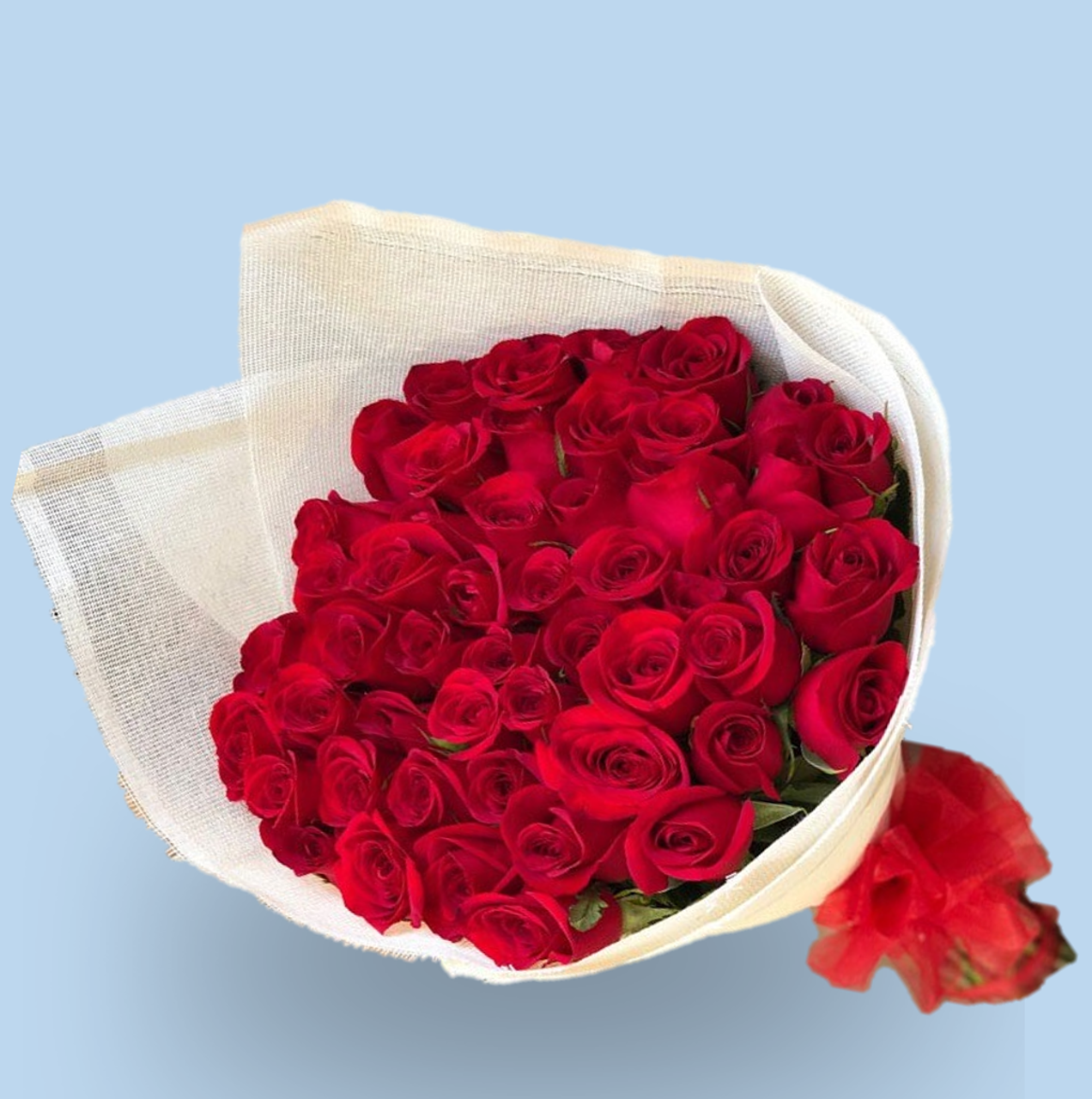 36 Rosas para el Amor