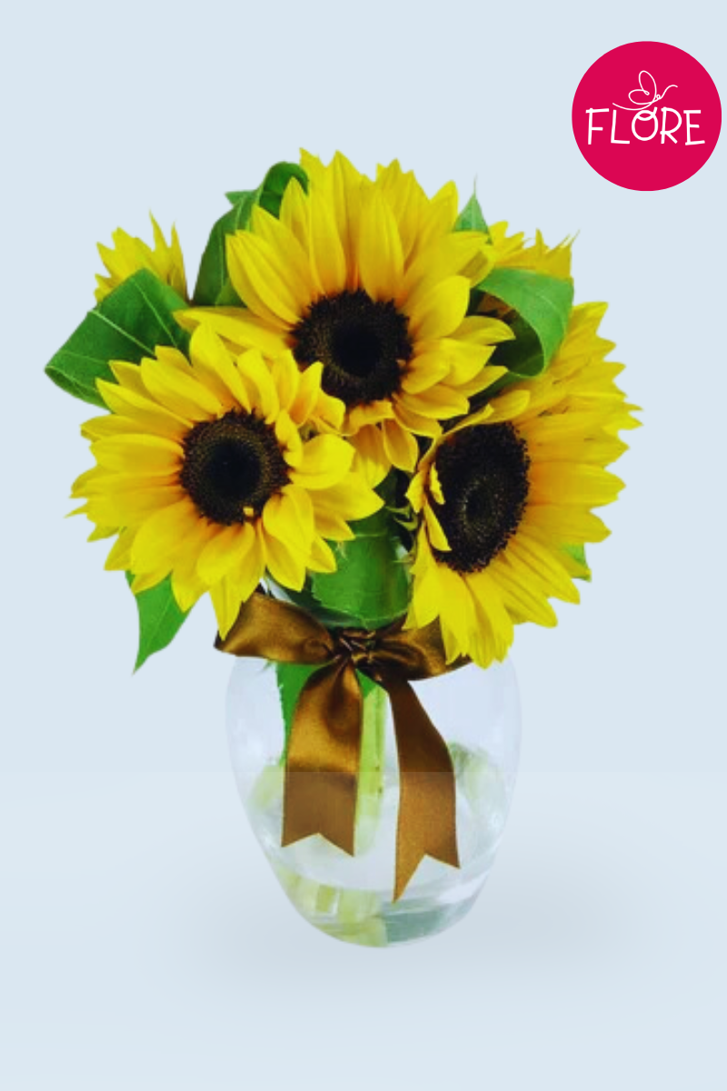 Girasoles Sunrise