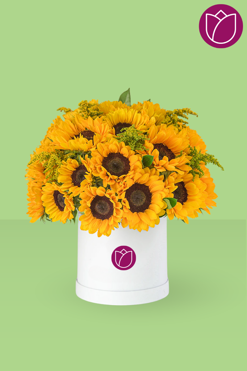Caja con girasoles