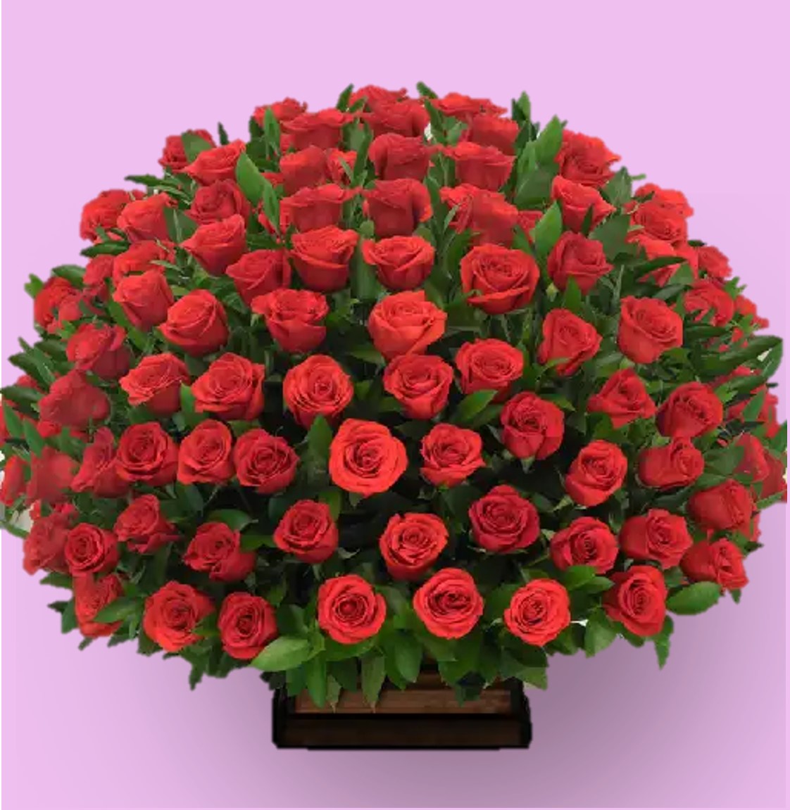 Sorpresa