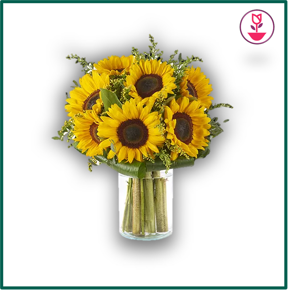 Girasoles en jarrón con envió a domicilio gratis el mismo día en todo México