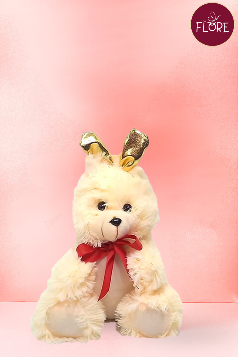 OSITO DE PELUCHE REGALO