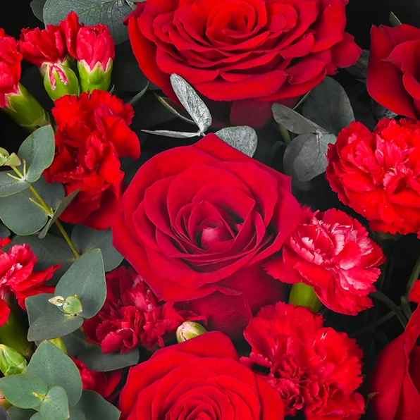 Miniatura: Rojo Carmesí Rosas en Ramo