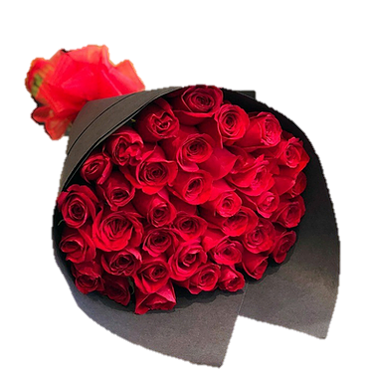 ROSAS QUE ENAMORAN