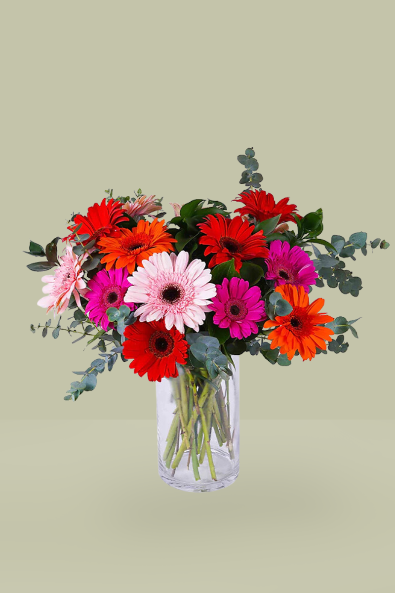 Jarrón de Gerberas MONTERREY