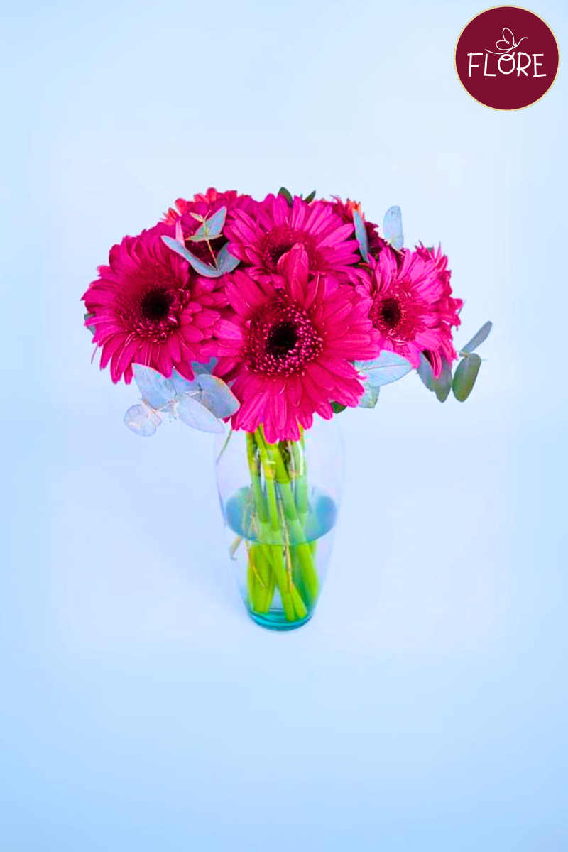 Gerberas Rosa