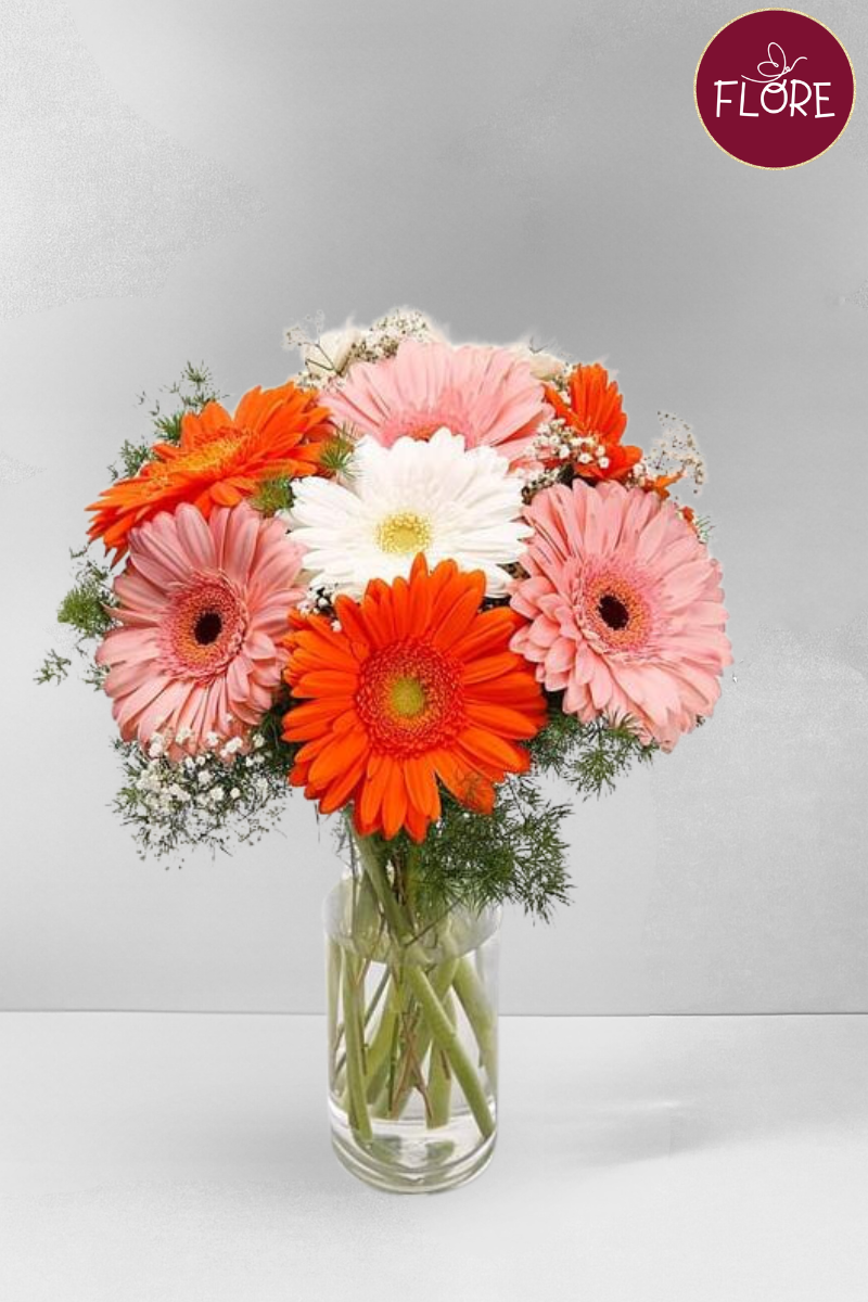 Gerberas Amor