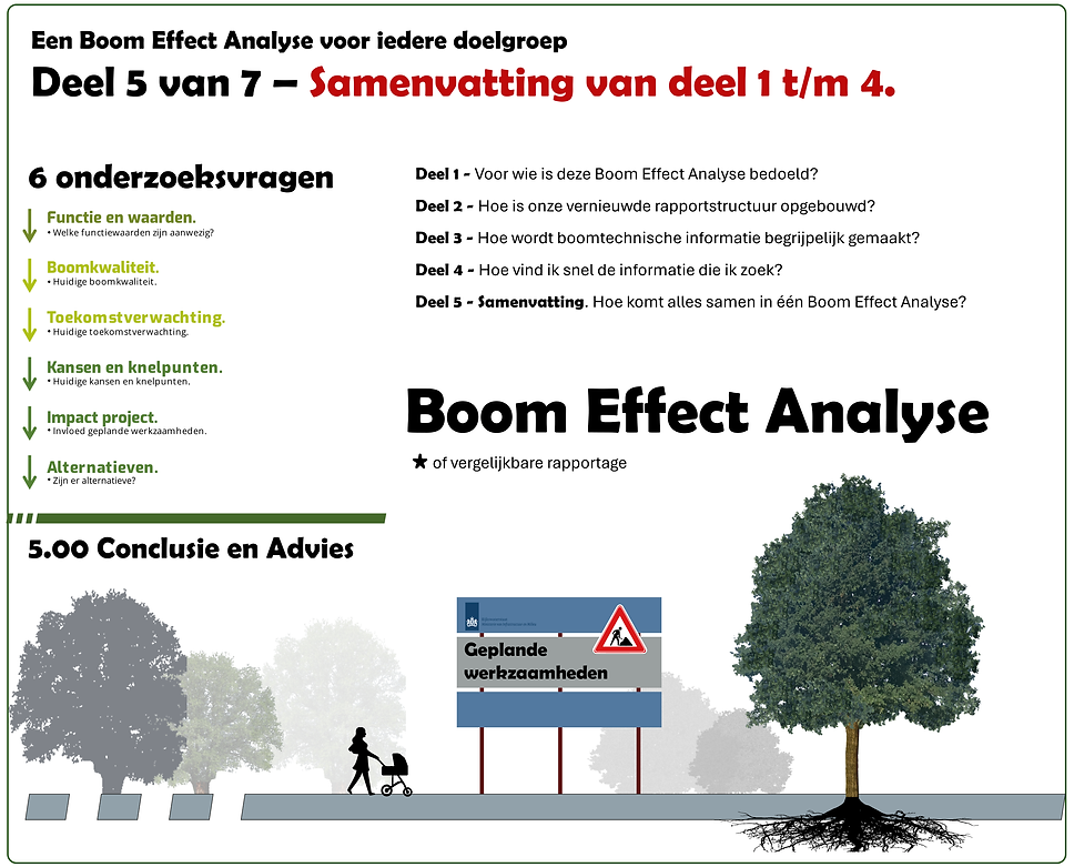 Deel 5-7 Een Boom Effect Analyse voor iedere doelgroep. Samenvatting .png