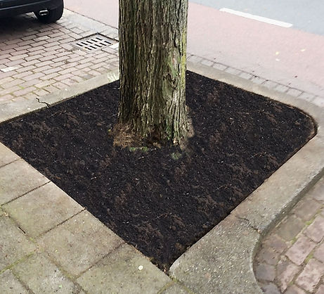 Een compostlaag zorgt voor betere infiltratiemogelijkheden, maar bevordert vooral het bodemleven.
